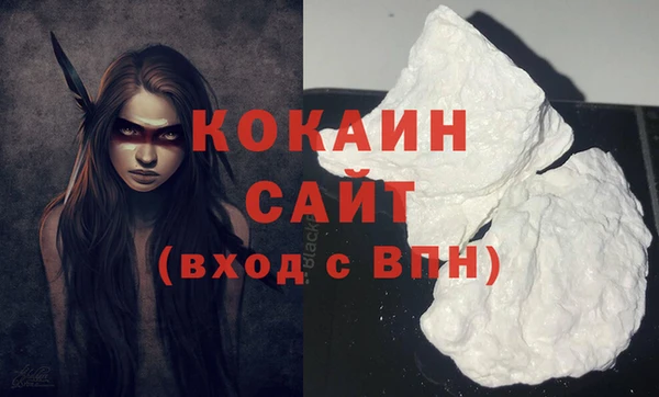 стаф Ростов
