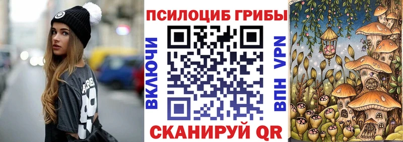 Галлюциногенные грибы Psilocybine cubensis  Грязовец 